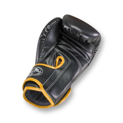 Gants de boxe Blegend BGL32 Velcro Noir