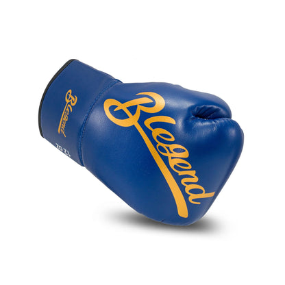 Blegend Kampfhandschuhe Blau