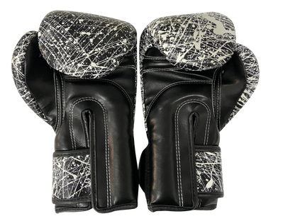 Fairtex Boxing Gloves Korean Painter
