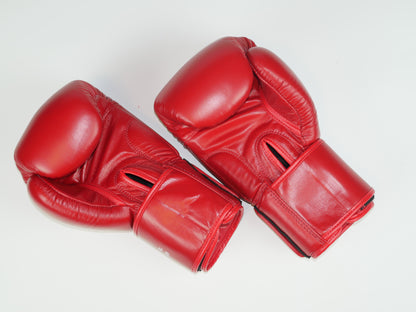 Windy Boxing Gloves Velcro Red