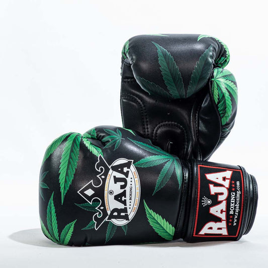 Raja Boxing Gloves Glass