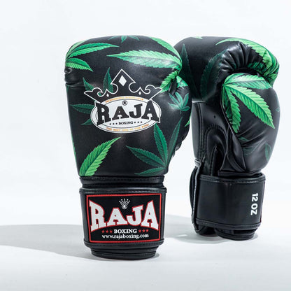 Raja Boxhandschuhe Glas